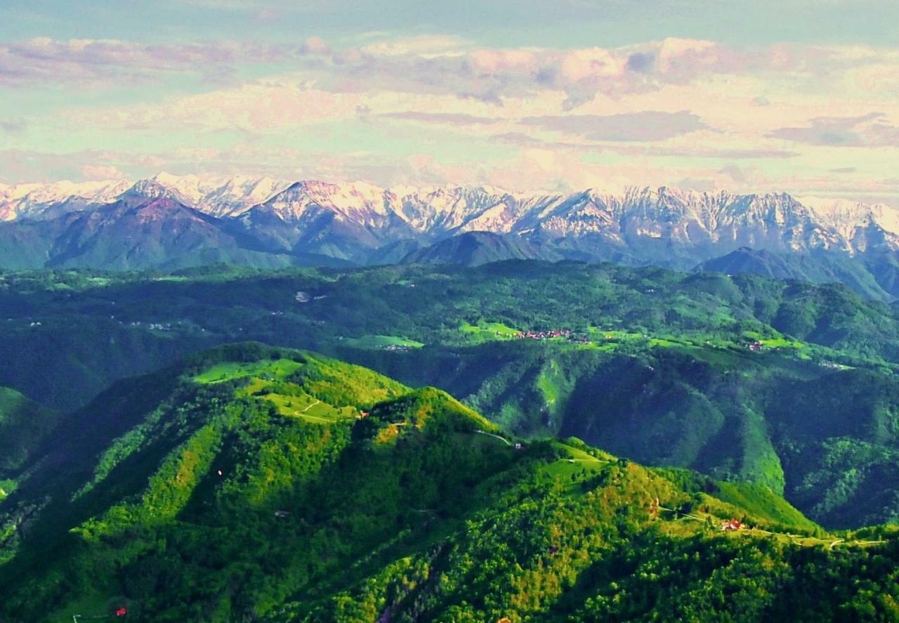 Apartma Alpski Vrt Vojsko Buitenkant foto