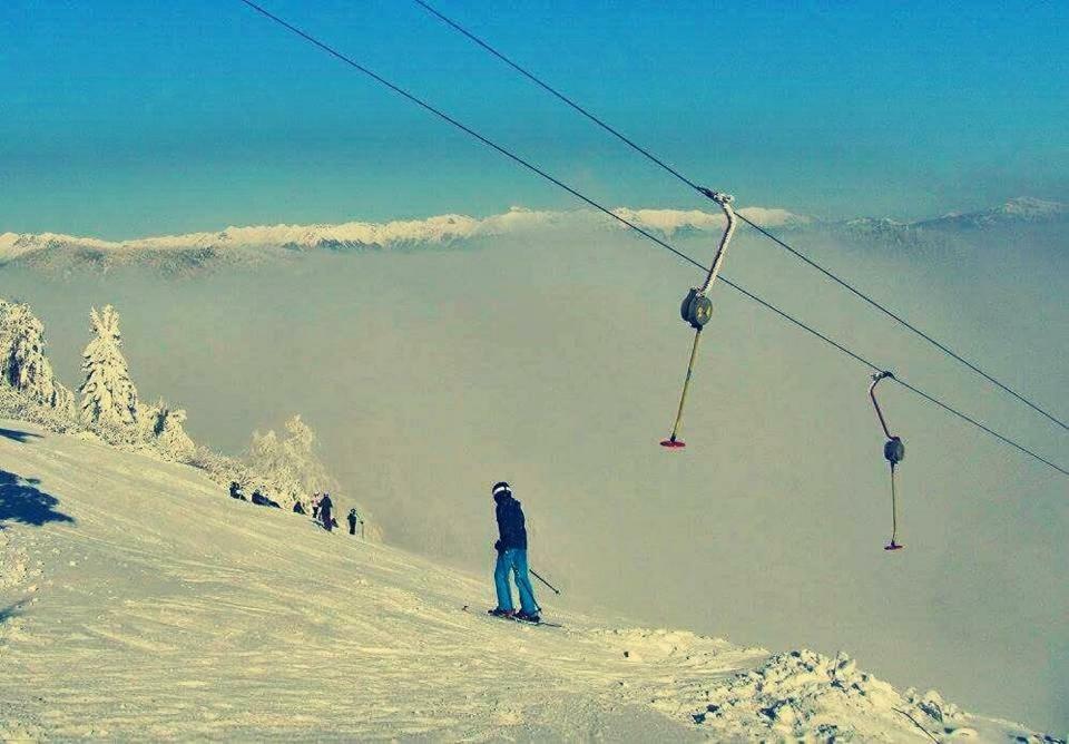 Apartma Alpski Vrt Vojsko Buitenkant foto
