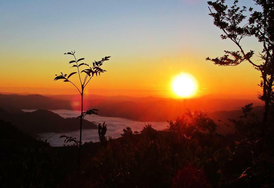 Apartma Alpski Vrt Vojsko Buitenkant foto